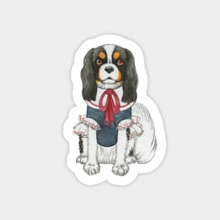 Cavalier King Charles Spaniel - Tri wearing a Blouse Sticker